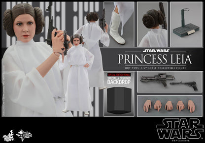 PRE-LOVED - Hot Toys - MMS298 - Star Wars: Princess Leia
