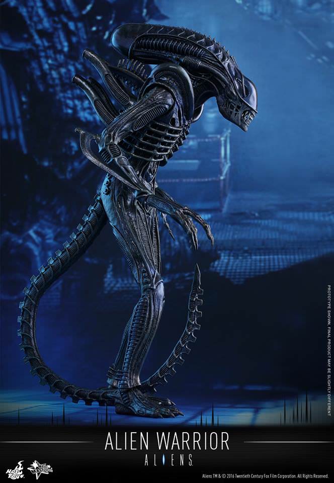 PRE-LOVED - Hot Toys - MMS354 - Aliens: Alien Warrior