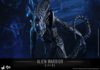 PRE-LOVED - Hot Toys - MMS354 - Aliens: Alien Warrior