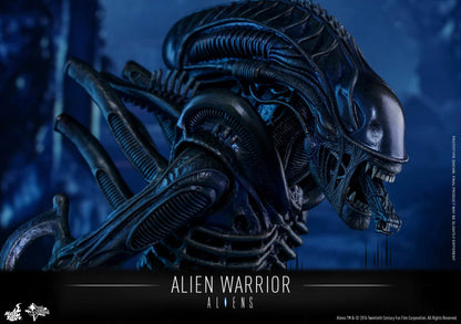 PRE-LOVED - Hot Toys - MMS354 - Aliens: Alien Warrior