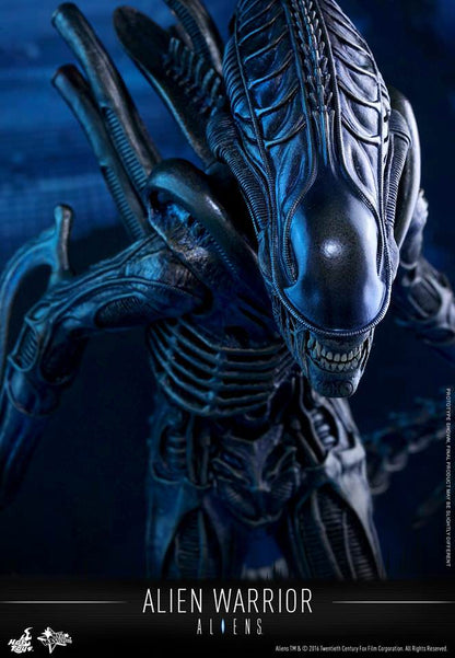 PRE-LOVED - Hot Toys - MMS354 - Aliens: Alien Warrior