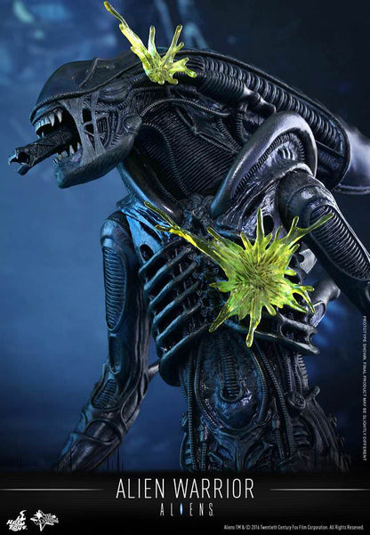 PRE-LOVED - Hot Toys - MMS354 - Aliens: Alien Warrior