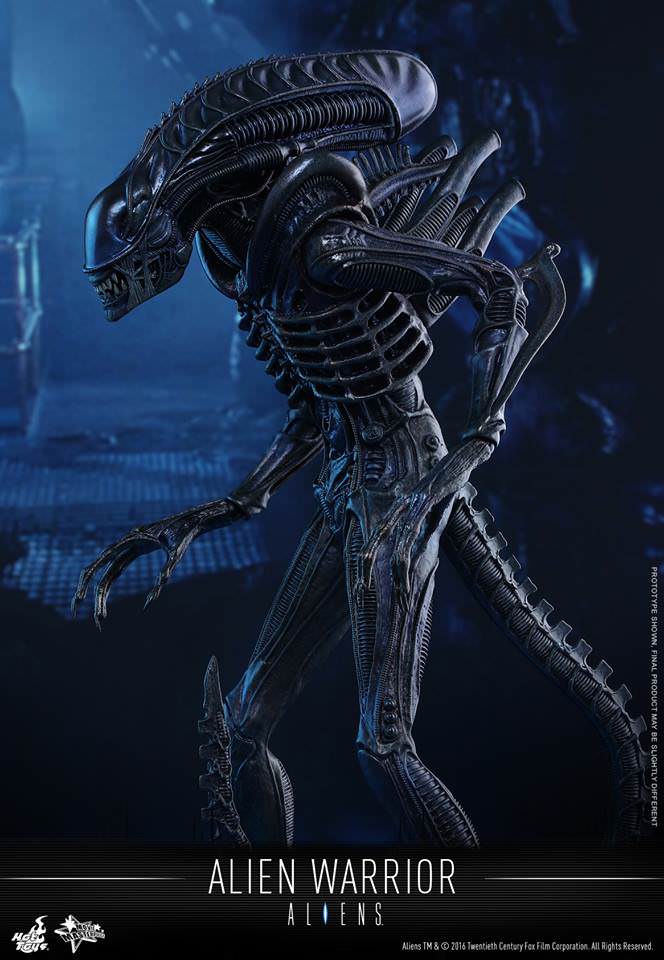 PRE-LOVED - Hot Toys - MMS354 - Aliens: Alien Warrior