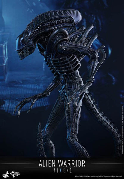 PRE-LOVED - Hot Toys - MMS354 - Aliens: Alien Warrior