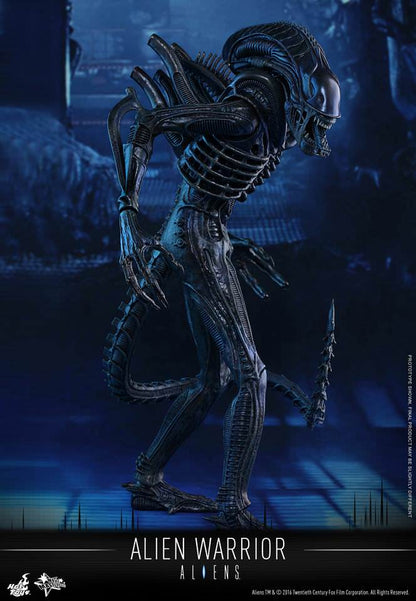 PRE-LOVED - Hot Toys - MMS354 - Aliens: Alien Warrior