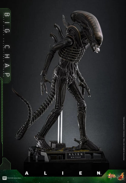 Hot Toys - MMS826 - Alien Big Chap 1/6th Scale Collectible Figure PRE-ORDER NOW