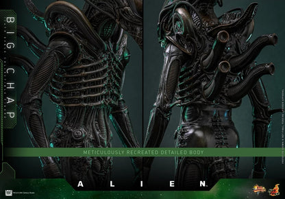 Hot Toys - MMS826 - Alien Big Chap 1/6th Scale Collectible Figure PRE-ORDER NOW