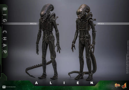 Hot Toys - MMS826 - Alien Big Chap 1/6th Scale Collectible Figure PRE-ORDER NOW