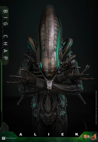 Hot Toys - MMS826 - Alien Big Chap 1/6th Scale Collectible Figure PRE-ORDER NOW