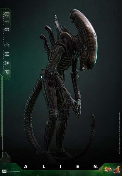 Hot Toys - MMS826 - Alien Big Chap 1/6th Scale Collectible Figure PRE-ORDER NOW