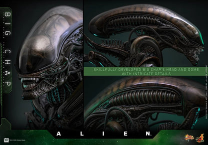 Hot Toys - MMS826 - Alien Big Chap 1/6th Scale Collectible Figure PRE-ORDER NOW